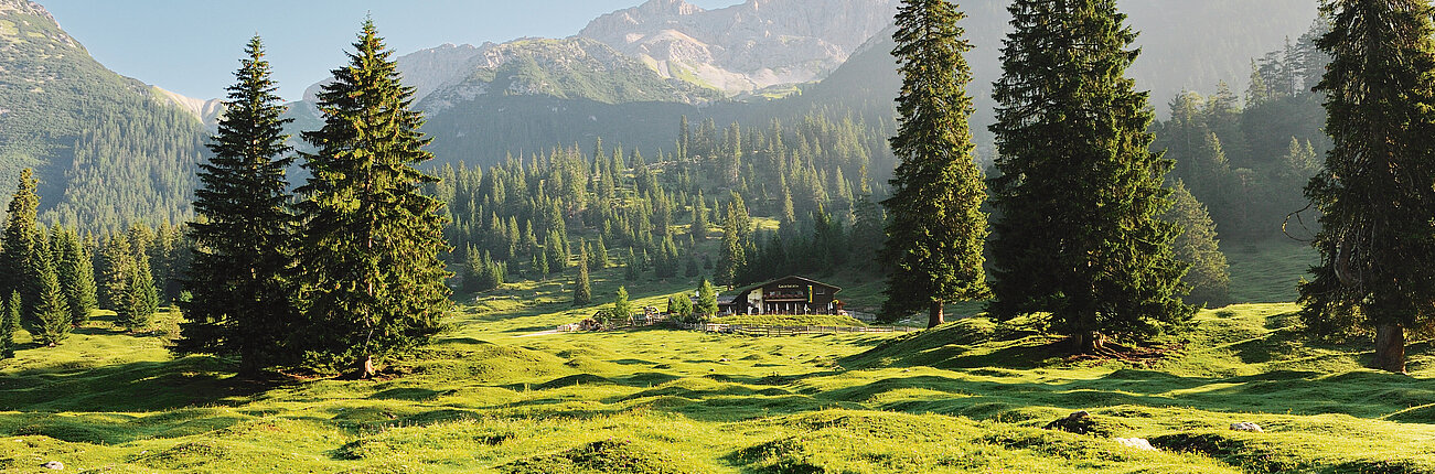 Almenparadies Gaistal & Alpenpark Karwendel